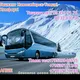 АПШЕ АВТОБУС 🚍ТОМСК НОВОСИБИРСК ТОШКЕНТ