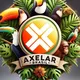 Axelar Brasil 🇧🇷