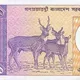 টাকায় তিনটি হরিণ