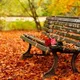 آذربایجان موسیقی سی