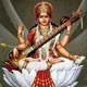 ಹೊನಲು ಬೆಳಕು