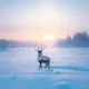 🇫🇮🤍| finland confession