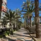 АРЕНДА ИСПАНИЯ 🇪🇸 Аликанте | Торревьеха | Бенидорм