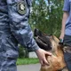 Обсуждение кинологии в России