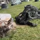 Paintball/Strikeball in Bucuresti