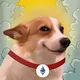 SUNDOG ETH - Portal