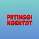 AGENT JORDAN ANTI PETINGGI
