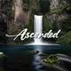 💰 DeFi Ascension 💰