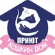 Приют "кошкин дом" г.Караганда