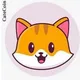 CateCoin 🐈 Admin will never Message you