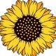 SunFlower Finance