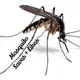 Mosquito Saves + Likes