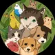 Грузия | Животные – Pets Georgia