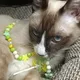 🧩КОАЛИЦИЯ КАНДИ-ДОЗА🪲 ТВЕРЬ