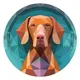 Hungarian Vizsla Inu MAGYAR 🇭🇺