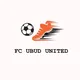 Футбол Убуд Бали ⚽️ Football Ubud Bali ⚽️futsal