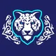 BARYS INFO | SCHEDULE