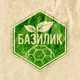 Песто Пауэр | ЖПФК Базилик 🌱
