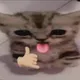 Anime Bite