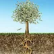 Investment projects. Cryptocurrency