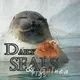 Daily Seals & Guinea Pigs