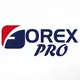 🌳forex pro signals🌲🌲