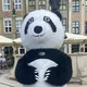 Balon Boom Poznan