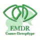 Чат центра обучения EMDR Санкт-Петербург