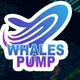 Coinbase Whales Pump and Dump