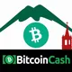 Bitcoin Cash - Arequipa - Perú 🇵🇪
