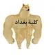 كلية بغداد > أي كلية ببالك 🤨