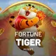 [FORTUNE TIGER] - DELUXE BOT