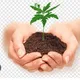 Soil Science ♥️