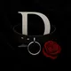 BDSM Nederland (chat group)