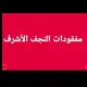 مفقودات النجف الأشرف