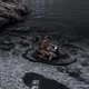 ➻𝑩𝒆𝒔𝒕 𝒇𝒓𝒊𝒆𝒏𝒅𝒔.