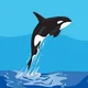 Binance Whales Hunter