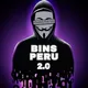 BINS PERU 2.0 🇵🇪