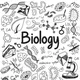 Biology essay