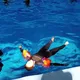 Биодинамика Калининград, Москва очно и весь мир дистанционно