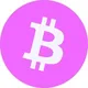Bitcoin But Pink - CTO!