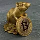 Bitcoin evolution pro