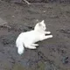 бывало и пох уже