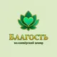 Благость Санкт-ПетербургIII (волонтерский центр) / Благость СПбIII (ВЦ)