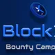 BlockX Network Bounty Program