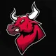BNBBull community