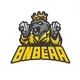 BNBEAR Presale Live