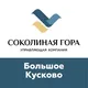Большое Кусково_Соколиная гора