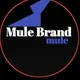 BRANDS TORSHIN ብራንድ ኦርጅናል ቶርሽን ጫማ አድራሻ ድሬዳዋ