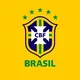 هواداران برزیل|Brazil Fans